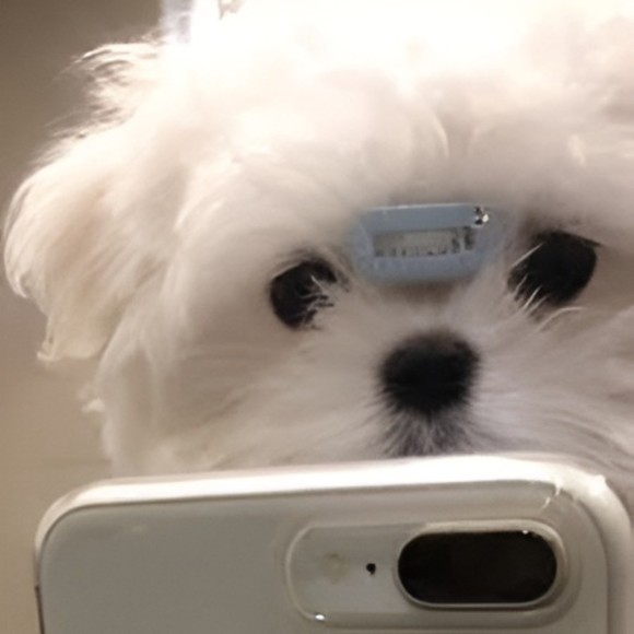 Meet your Posher, Jowel - Picture 1 of 1